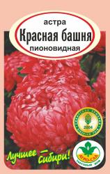 астра БАШНЯ КРАСНАЯ пионовидная / АГРО САД / НОВИНКА !!!
